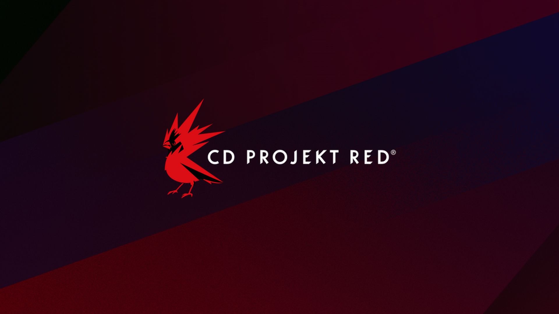 Через четыре года после анонса CD Projekt RED близка к завершению проработки мира Project Hadar